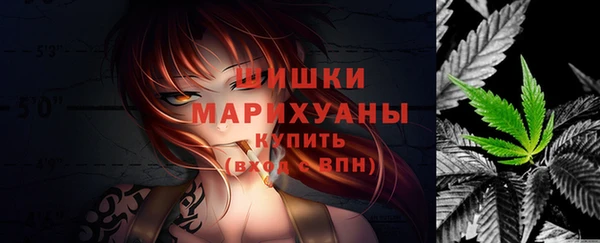 шишки Заводоуковск