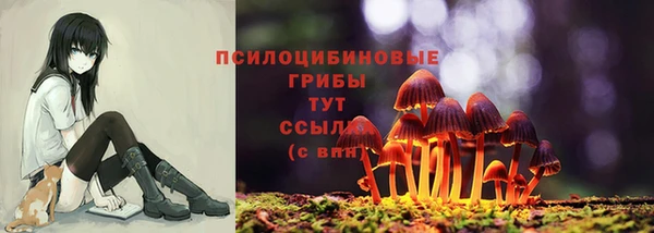 шишки Заводоуковск