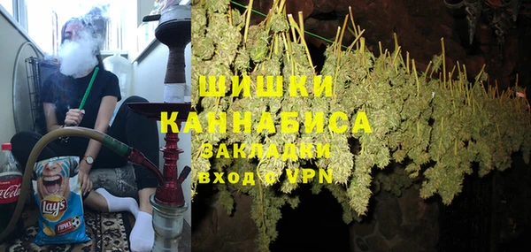 шишки Заводоуковск