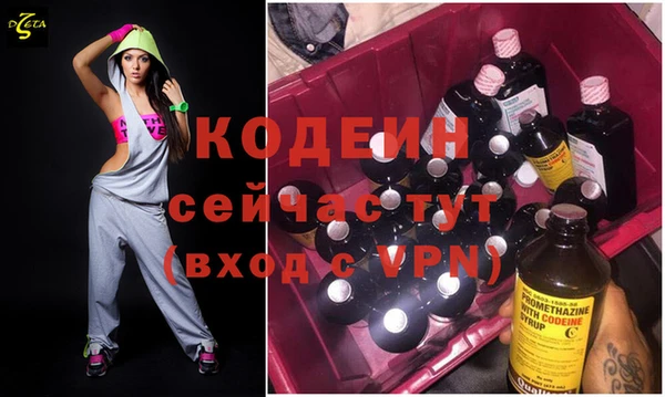 шишки Заводоуковск