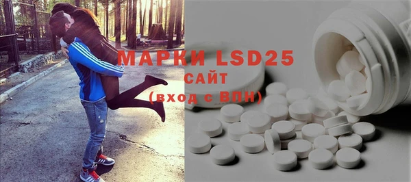 шишки Заводоуковск