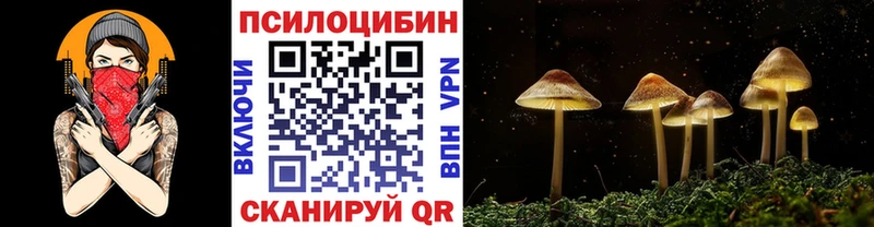 Галлюциногенные грибы Psilocybine cubensis  Купить где  Питкяранта 